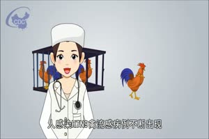 预防人感染H7N9禽流感 